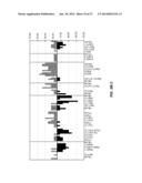DETECTION OF CHROMOSOMAL ABNORMALITIES ASSOCIATED WITH ENDOMETRIAL CANCER diagram and image