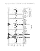 DETECTION OF CHROMOSOMAL ABNORMALITIES ASSOCIATED WITH ENDOMETRIAL CANCER diagram and image