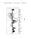 DETECTION OF CHROMOSOMAL ABNORMALITIES ASSOCIATED WITH ENDOMETRIAL CANCER diagram and image