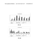 DETECTION OF CHROMOSOMAL ABNORMALITIES ASSOCIATED WITH ENDOMETRIAL CANCER diagram and image