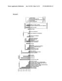 METHODS OF DETECTING THERAPEUTIC EXOSOMES diagram and image