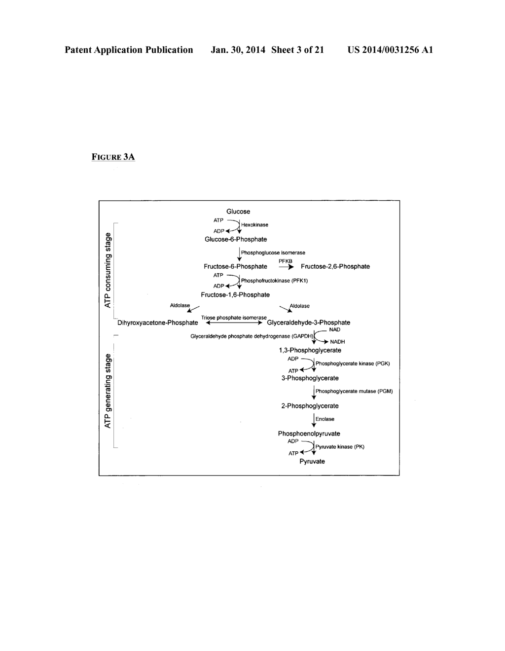 METHODS OF DETECTING THERAPEUTIC EXOSOMES - diagram, schematic, and image 04