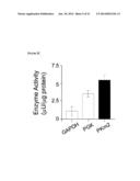 METHODS OF DETECTING THERAPEUTIC EXOSOMES diagram and image