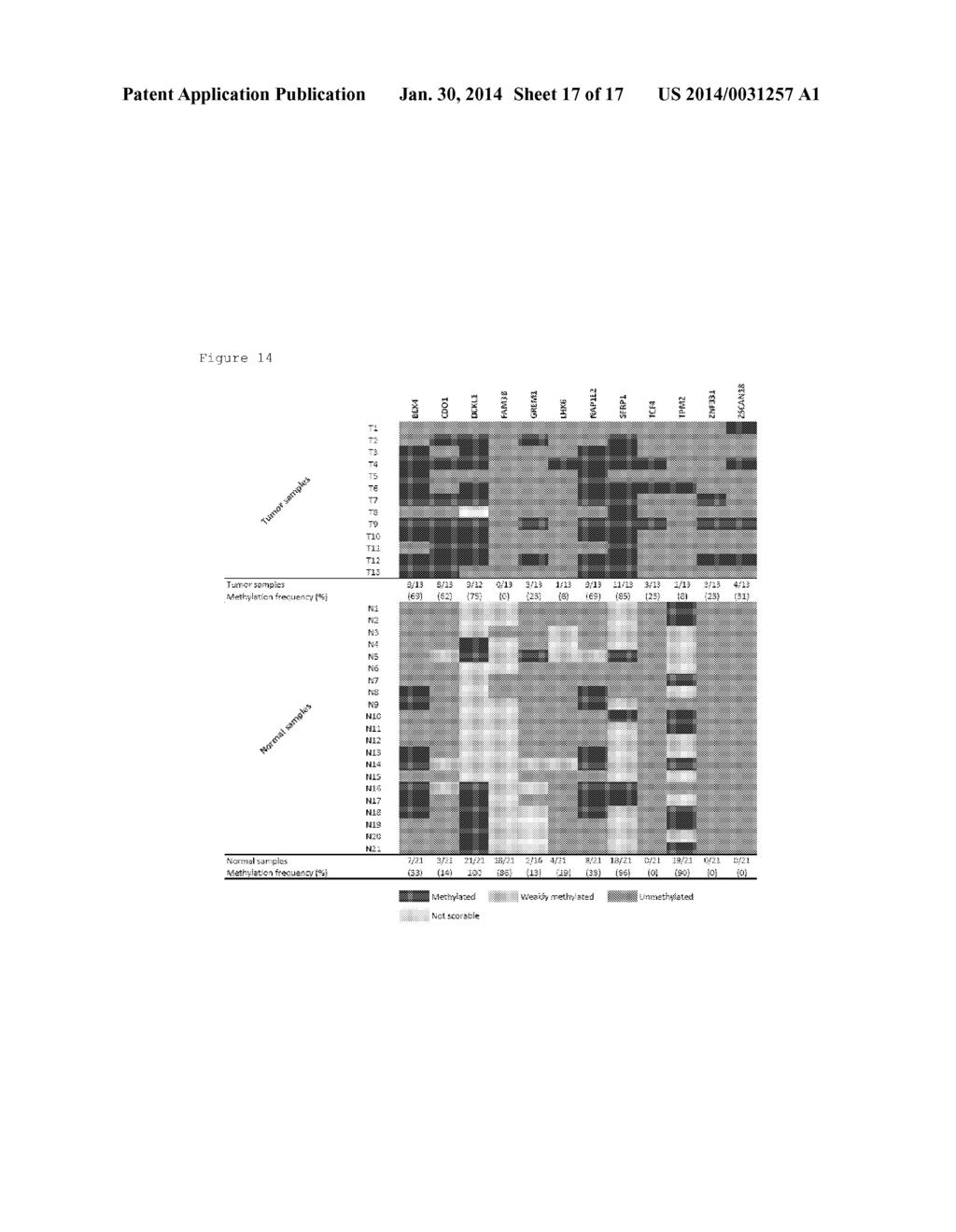 METHODS AND BIOMARKERS FOR DETECTION OF GASTROINTESTINAL CANCERS - diagram, schematic, and image 18