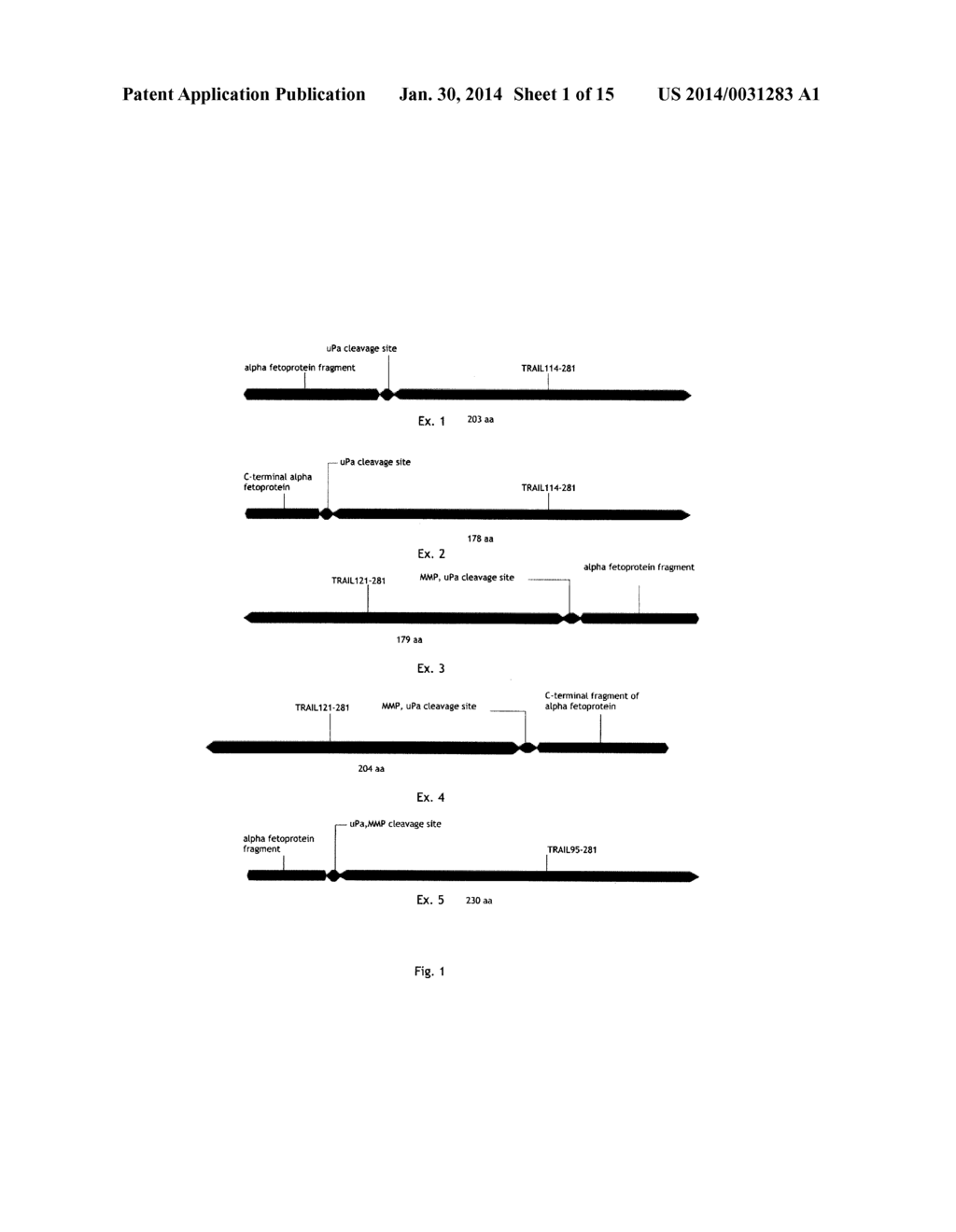 ANTICANCER FUSION PROTEIN - diagram, schematic, and image 02