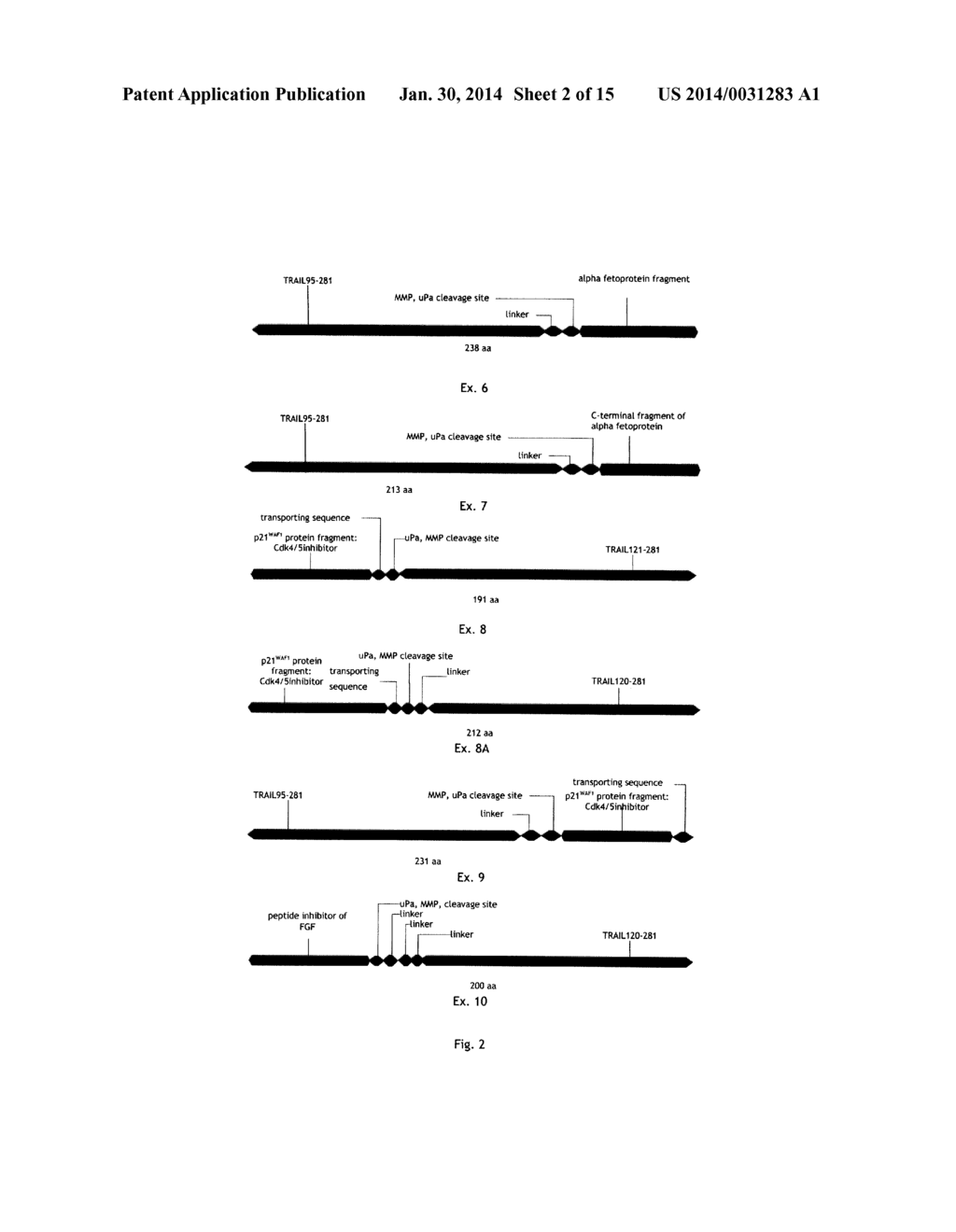 ANTICANCER FUSION PROTEIN - diagram, schematic, and image 03