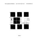 PHOTODEGRADABLE GROUPS FOR TUNABLE POLYMERIC MATERIALS diagram and image