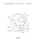 NEW SYNTHETIC PEPTIDES AND THEIR USE diagram and image