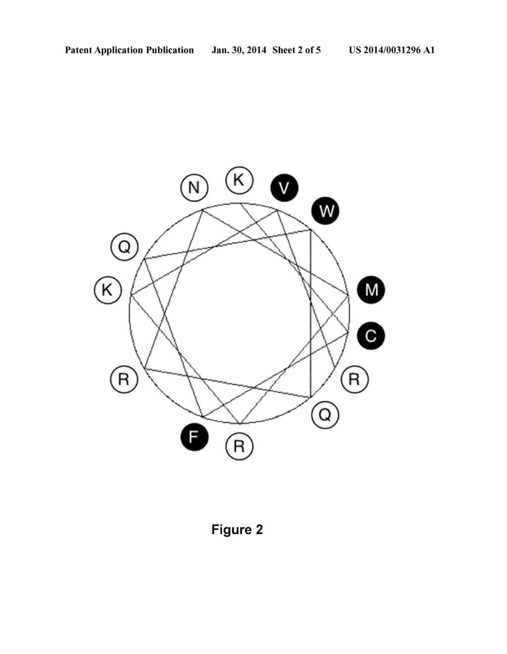 NEW SYNTHETIC PEPTIDES AND THEIR USE - diagram, schematic, and image 03