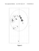 NEW SYNTHETIC PEPTIDES AND THEIR USE diagram and image