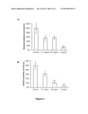 NEW SYNTHETIC PEPTIDES AND THEIR USE diagram and image