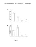 NEW SYNTHETIC PEPTIDES AND THEIR USE diagram and image