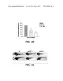 METHODS FOR TREATMENT OF MELANOMA diagram and image