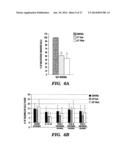 METHODS FOR TREATMENT OF MELANOMA diagram and image