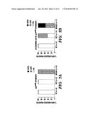 METHODS FOR TREATMENT OF MELANOMA diagram and image