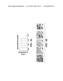 METHODS FOR TREATMENT OF MELANOMA diagram and image