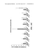 METHODS FOR TREATMENT OF MELANOMA diagram and image