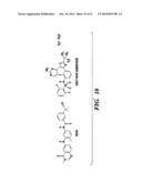 METHODS FOR TREATMENT OF MELANOMA diagram and image