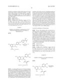 NOVEL PROCESS FOR SYNTHESIS OF POLYPHENOLS diagram and image