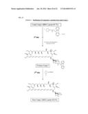 COMPOUNDS diagram and image