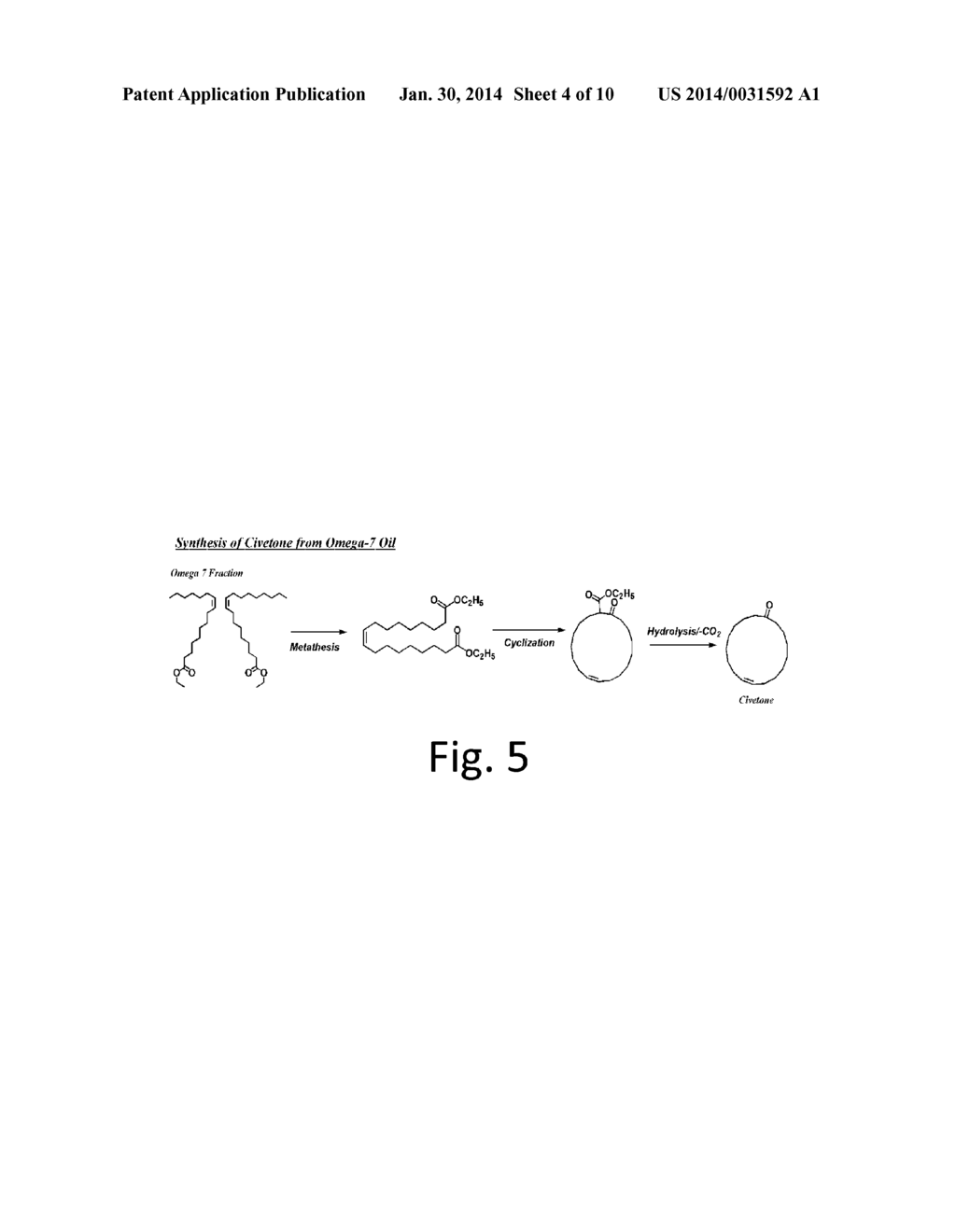 METHODS OF CONVERTING MIXTURES OF PALMITOLEIC AND OLEIC ACID ESTERS TO     HIGH VALUE PRODUCTS - diagram, schematic, and image 05