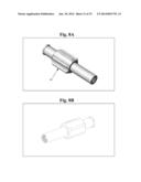 BONE SCREWS AND METHODS OF USE THEREOF diagram and image