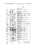 APPARATUS, METHOD AND COMPUTER READABLE MEDIUM FOR SELECTIVELY EDITING     POLYSEMOUS SYMBOL SEQUENCES IN A MULTIFUNCTIONAL INTERACTIVE DICTIONARY     DATABASE diagram and image