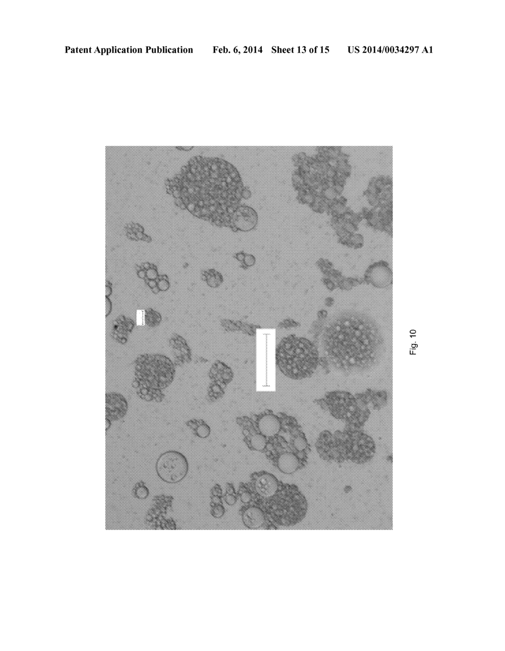 DISPERSION OF COMPOUNDS FOR THE STIMULATION OF BIOGENIC GAS GENERATION IN     DEPOSITS OF CARBONACEOUS MATERIAL - diagram, schematic, and image 14