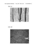 SURFACE-MODIFIED SEMICONDUCTOR, METHOD OF MAKING THE SEMICONDUCTOR, AND     METHOD OF ARRANGING PARTICLES diagram and image