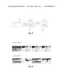 ENHANCING A USER EXPERIENCE UTILIZING CAMERA LOCATION INFORMATION AND USER     DEVICE INFORMATION diagram and image