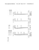 ZOOM LENS AND IMAGE PICKUP APPARATUS HAVING THE SAME diagram and image