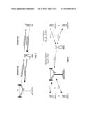 ASSOCIATION AND RESOURCE PARTITIONING IN A WIRELESS NETWORK WITH RELAYS diagram and image