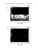 METHOD OF IDENTIFYING AN OBJECT IN A VISUAL SCENE diagram and image