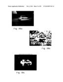 METHOD OF IDENTIFYING AN OBJECT IN A VISUAL SCENE diagram and image