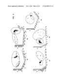 ENHANCED MULTI-PROTOCOL ANALYSIS VIA INTELLIGENT SUPERVISED EMBEDDING     (EMPRAVISE) FOR MULTIMODAL DATA FUSION diagram and image