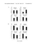 INHIBITION OF FIBROSIS AND AF BY TGF-BETA INHIBITION IN THE POSTERIOR LEFT     ATRIUM (PLA) diagram and image