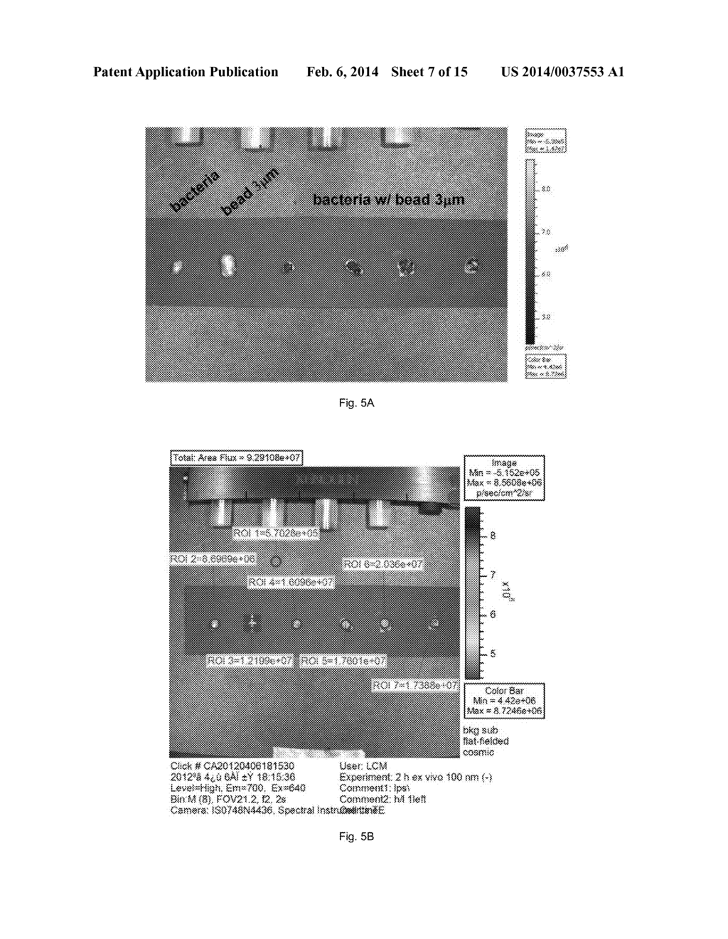 BACTERIUM-BASED MICROROBOT CAPABLE OF TARGETING CANCER TISSUE - diagram, schematic, and image 08