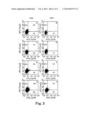 Inhibition of Dendritic Cell-Driven Regulatory T Cell Activation and     Potentiation of Tumor Antigen-Specific T Cell Responses by Interleukin-15     and MAP Kinase Inhibitor diagram and image