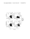 Inhibition of Dendritic Cell-Driven Regulatory T Cell Activation and     Potentiation of Tumor Antigen-Specific T Cell Responses by Interleukin-15     and MAP Kinase Inhibitor diagram and image