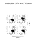 Inhibition of Dendritic Cell-Driven Regulatory T Cell Activation and     Potentiation of Tumor Antigen-Specific T Cell Responses by Interleukin-15     and MAP Kinase Inhibitor diagram and image