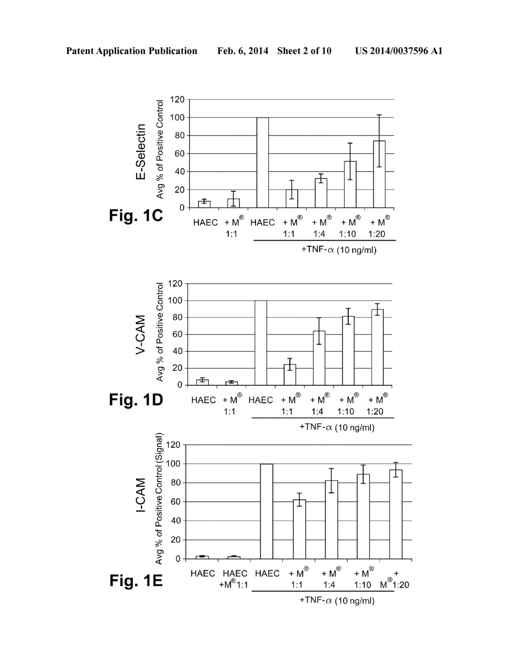 Use of Stem Cells to Reduce Leukocyte Extravasation - diagram, schematic, and image 03