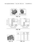 ANTI-FGFR4 ANTIBODIES AND METHODS OF USE diagram and image