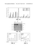 ANTI-FGFR4 ANTIBODIES AND METHODS OF USE diagram and image