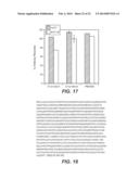 ANTI-FGFR4 ANTIBODIES AND METHODS OF USE diagram and image