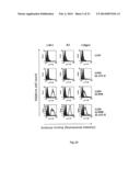 ANTI-CD98 ANTIBODY PROCESSES diagram and image