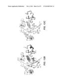 ANTI-NOTCH2 NRR ANTIBODIES diagram and image