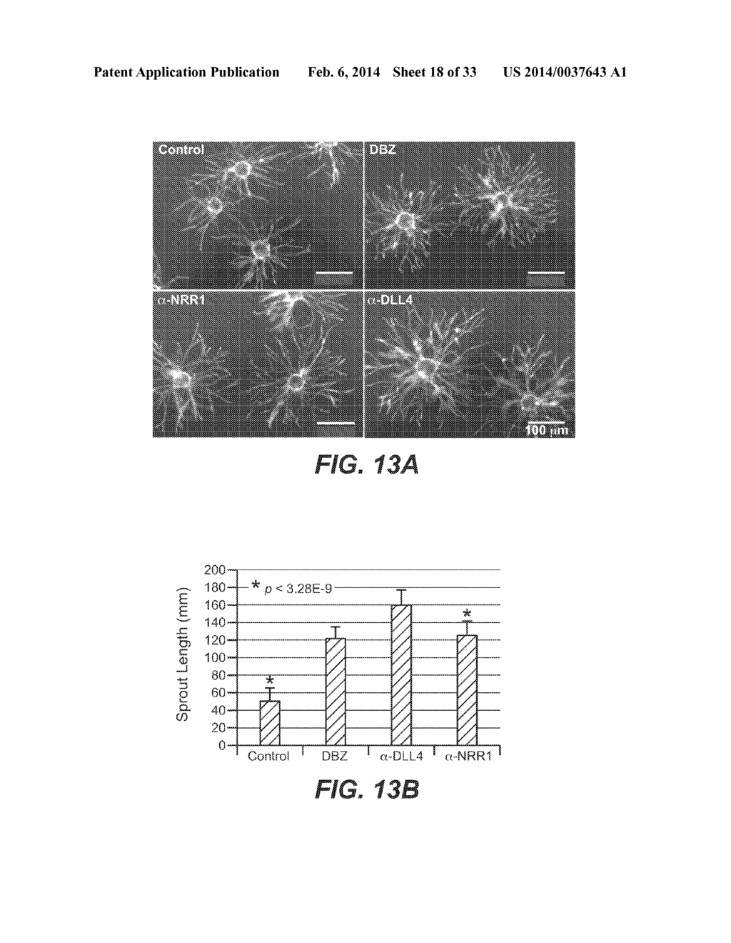 ANTI-NOTCH2 NRR ANTIBODIES - diagram, schematic, and image 19