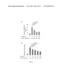 USE OF NUCLEOLIN AS A BIOMARKER FOR LYMPHANGIOGENESIS IN A CANCER     PROGNOSIS AND THERAPY diagram and image