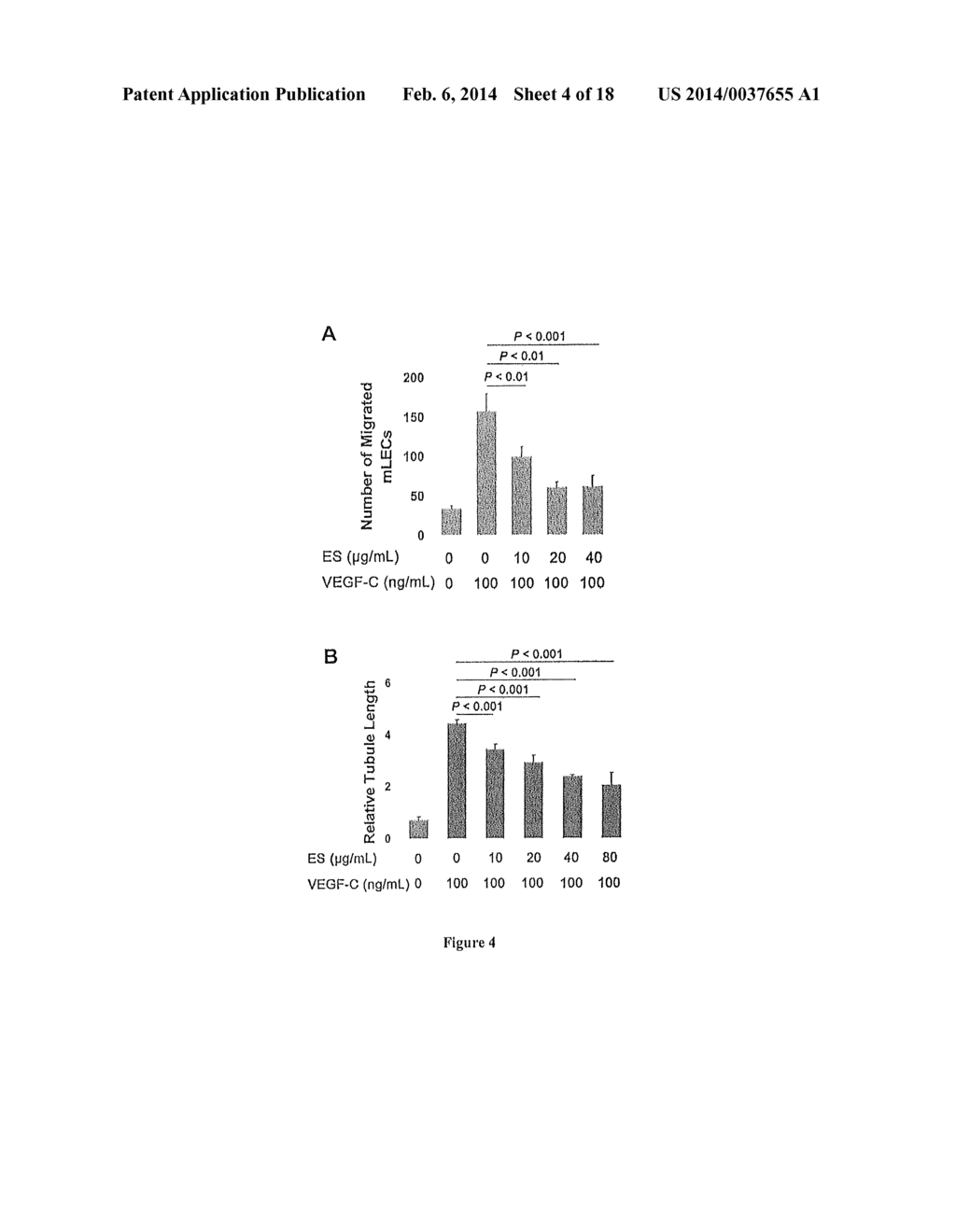 USE OF NUCLEOLIN AS A BIOMARKER FOR LYMPHANGIOGENESIS IN A CANCER     PROGNOSIS AND THERAPY - diagram, schematic, and image 05