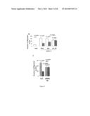 USE OF NUCLEOLIN AS A BIOMARKER FOR LYMPHANGIOGENESIS IN A CANCER     PROGNOSIS AND THERAPY diagram and image